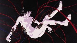 Ghost in the shell