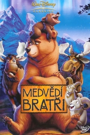 Medvědí bratři 2003