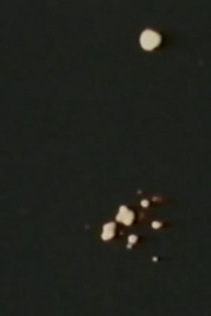 Image Song 11