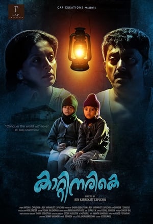 Poster Kaatinarike 2021