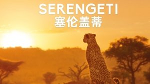 poster Serengeti