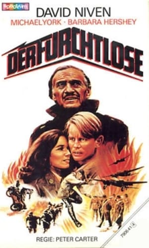 Poster Der Furchtlose 1979