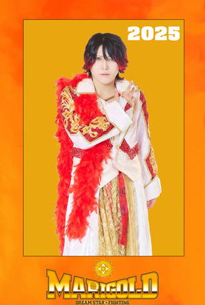 Season 2025 | FlixBox