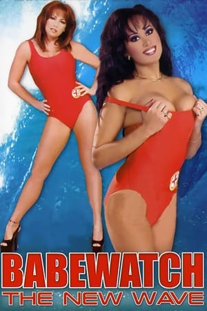 Poster Babewatch 13 2003