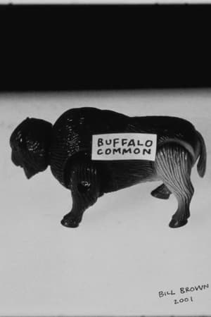 Buffalo Common poster