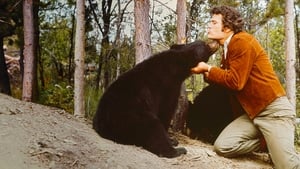 หมีน้อยเพื่อนยาก (1974) The Bears and I