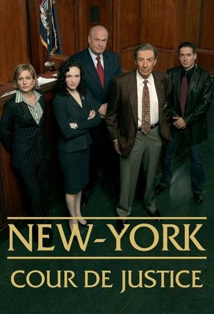 New York Cour de Justice movie poster