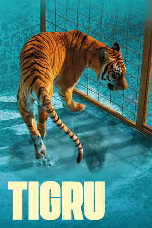Day of the Tiger 9