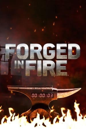 Forged in Fire - Wettkampf der Schmiede: Staffel 8