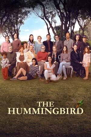 The Hummingbird
