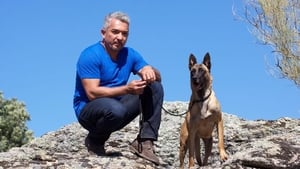 Cesar Millan’s Leader of the Pack