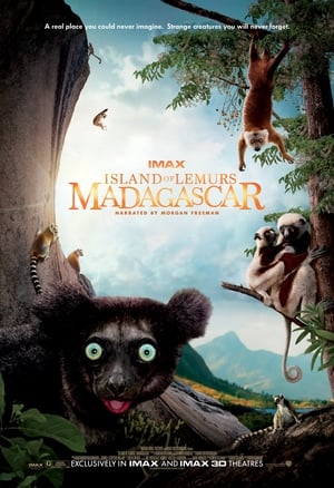 Poster Madagascar: Legends of Lemur Island 2024