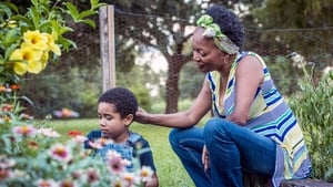 Queen Sugar Temporada 2 Capitulo 16