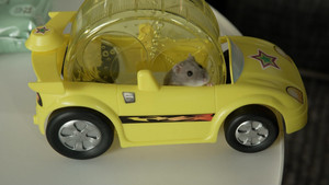 Ça vaut le coût: 9×10 {year} Online En Netflix