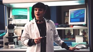 NCIS – Tengerészeti Helyszínelők: 1×17