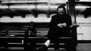 Hằng Số Pi: Tìm Kiếm Niềm Tin Trong Sự Hỗn Loạn