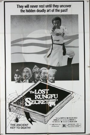 Poster The Lost Kung Fu Secrets (1979)