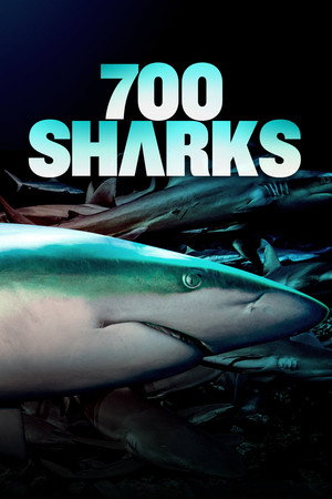 700 Sharks 13