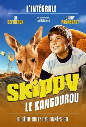 Affiche de Skippy, le kangourou