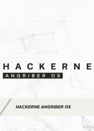 Hackerne angriber os