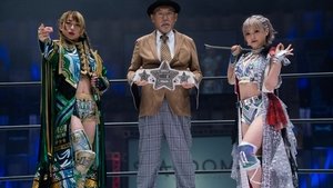 Stardom on Stardom World: 12×16