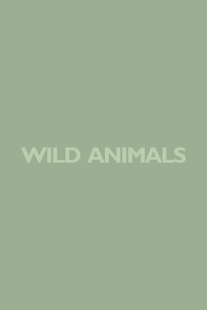 Wild Animals