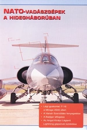 Poster Combat in the Air - NATO Cold War Interceptors 1996