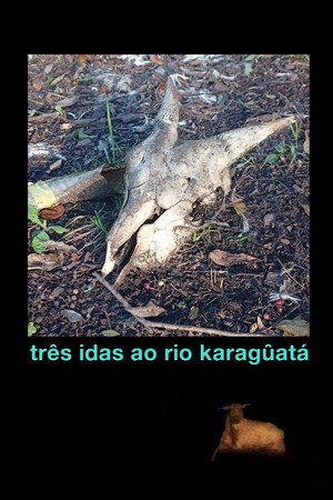 Três idas ao Rio Karagûatá