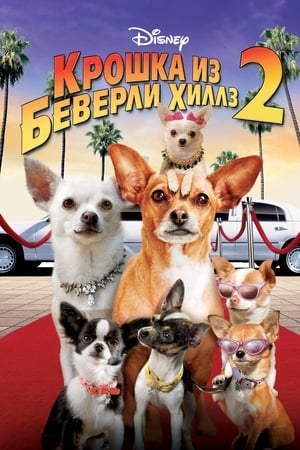 Крошка из Беверли-Хиллз 2 2011