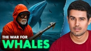 Inside Antarctica’s Secret Whale War
