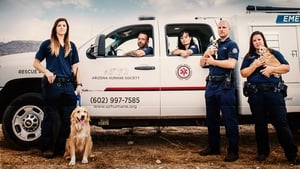Animal Cops: Phoenix