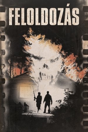 Poster Feloldozás 2013