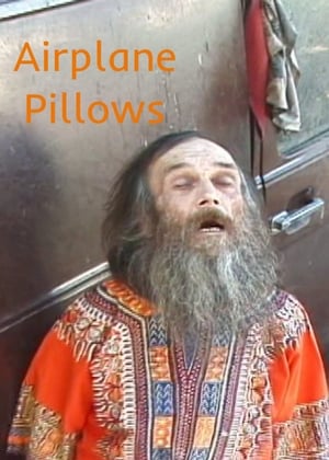 Poster Airplane Pillows (2008)