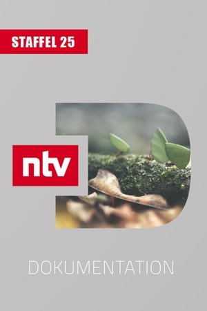 Season 25 | FlixBox