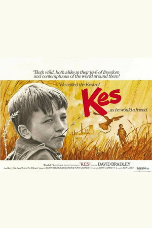 Постер фильма «Кес (1969)» — (12 из 33)