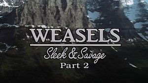 Épisode 6