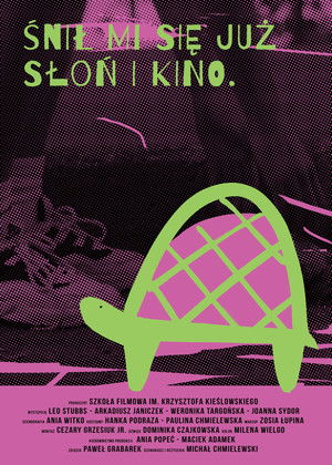 Ravik the Steppe Turtle