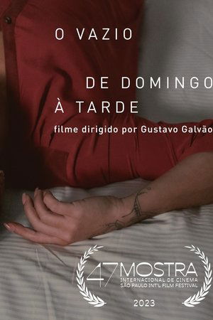 Poster O Vazio de Domingo à Tarde 2024