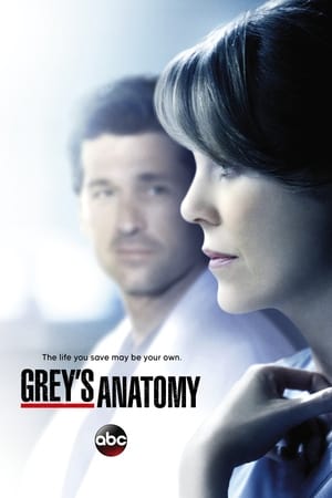 poster Grey's Anatomy - Season 3 Episode 1 : Time Has Come Today