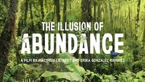 The Illusion of Abundance