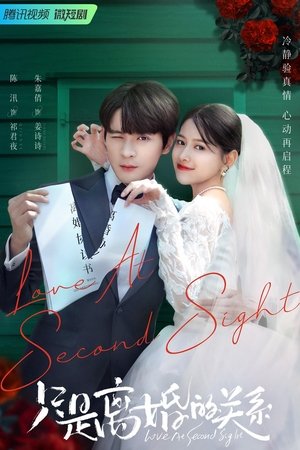 只是离婚的关系 movie poster