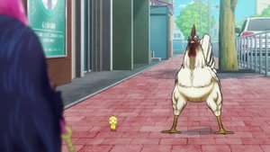 Rooster Fighter: 1×3