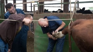 The Incredible Dr. Pol Puppy Love