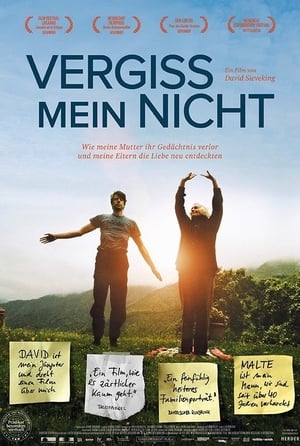 Vergiss mein nicht (2013)