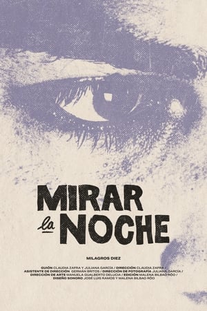 Poster Mirar la noche 2022