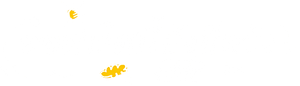 Never Give Up — Logos 8