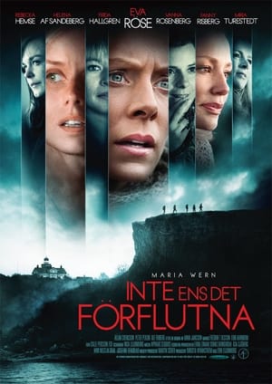 Poster Maria Wern : Inte ens det förflutna (2012)