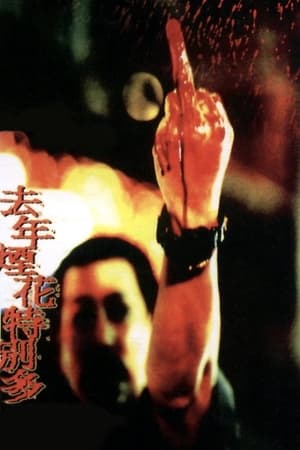 Poster 去年煙花特別多 1998