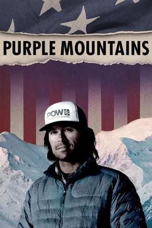 Poster Purple Mountains 2020