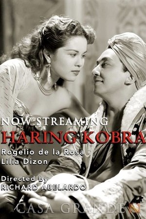 Poster Haring Kobra 1951